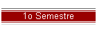 1o Semestre